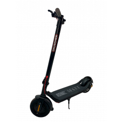 Электрический самокат DAUSCHER X10